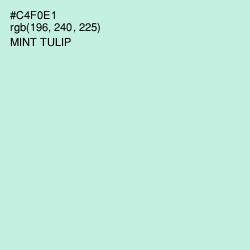 #C4F0E1 - Mint Tulip Color Image